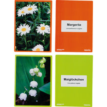 Lade das Bild in den Galerie-Viewer, NONNA ANNA® Bildkarten Garten, 80 Karten